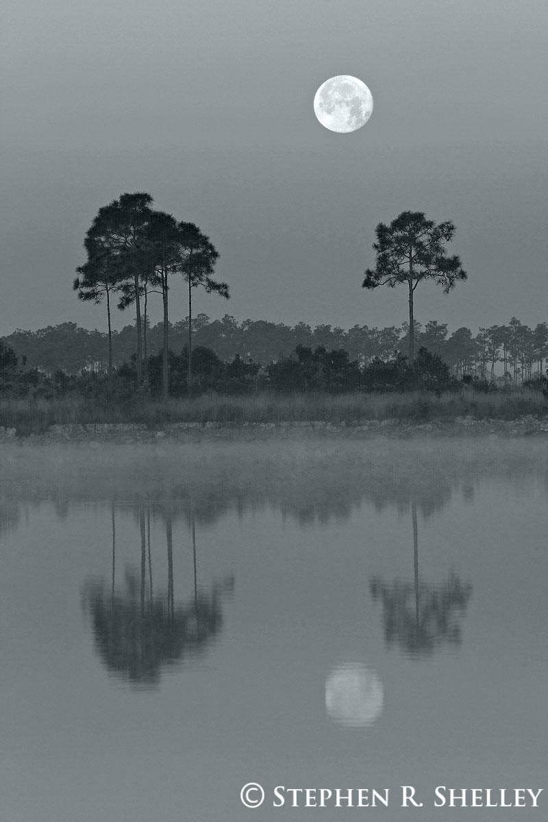 Pine Glades Lake Moonset