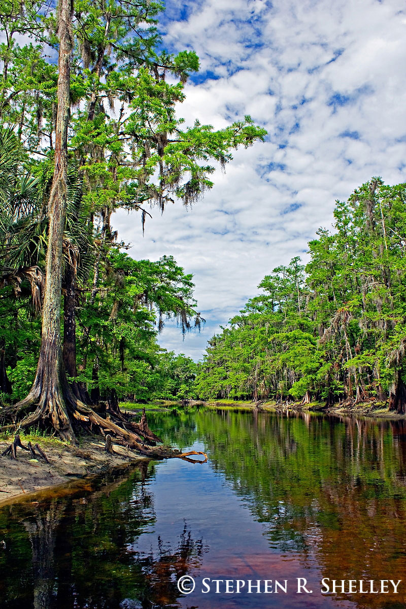 Fish Eating Creek